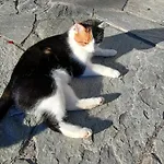 Hinterburghof *