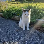 Séjour à la ferme Hinterburghof Saalfelden