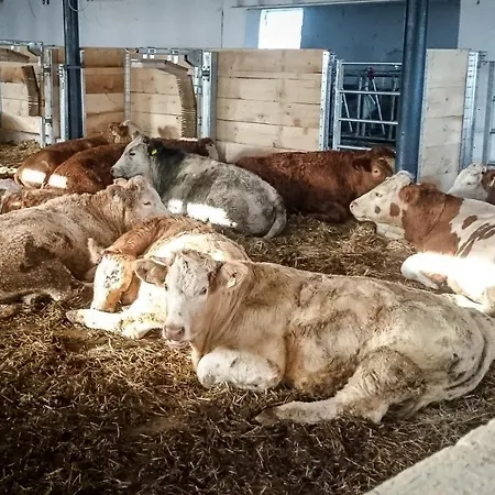 Hinterburghof * Saalfelden