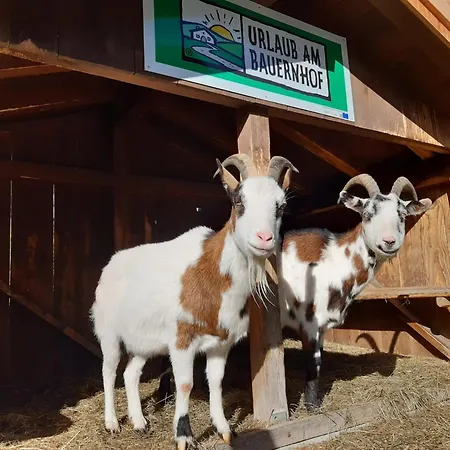 Agroturismo Hinterburghof *