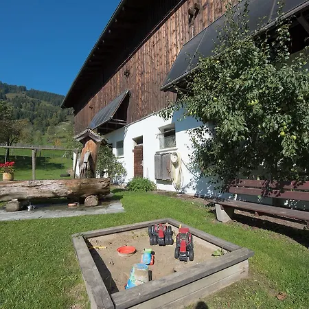 Bauernhof Hinterburghof Saalfelden