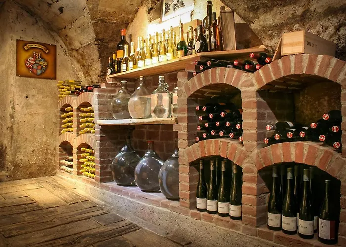 Hinterburghof Saalfelden am Steinernen Meer