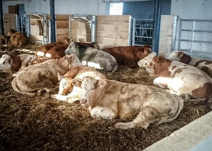 Hinterburghof * سالفلدن ام ستينه