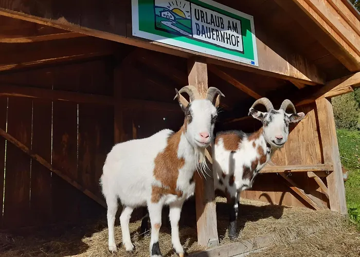 Agroturismo Hinterburghof *