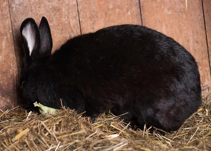 Farmház Hinterburghof